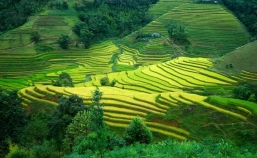 Ha Giang