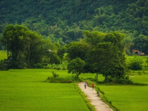 Mai Chau 
