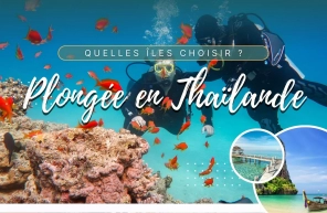Plongée en Thaïlande : quelles îles choisir ?