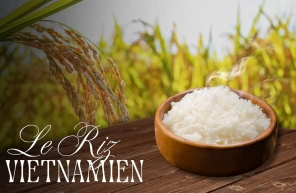 Le Riz Vietnamien, Quintessence De La Cuisine Vietnamienne