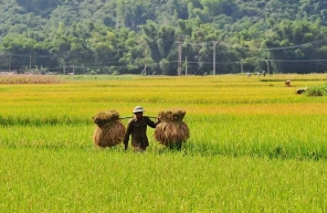 Que voir et que faire à Mai Chau