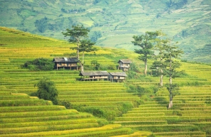 Sapa Village Vietnam : Voyage Unique Pendant Le Nouvel An Lunaire