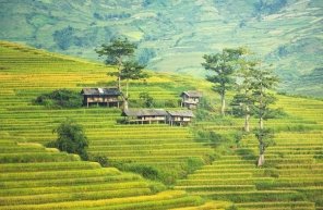 Sapa Village Vietnam : Voyage Unique Pendant Le Nouvel An Lunaire