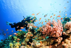 Southern and Central Vietnam Cambodia 3 weeks with beach