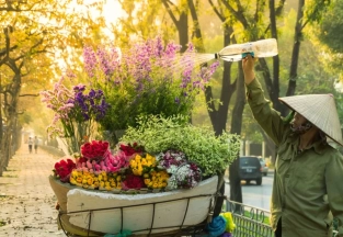 Northern Vietnam Trip in 1 week