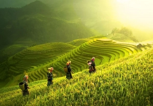 High-end North Vietnam tour 12 days