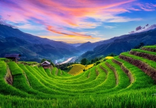 Circuit Combiné Thailande – Vietnam 14 jours