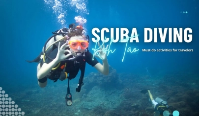 Scuba diving in Koh Tao: Must-do activities for travelers