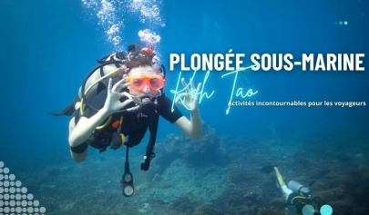 Plongée sous-marine à Koh Tao : activités incontournables pour voyageurs