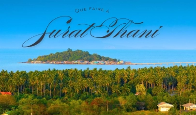 Que faire à Surat Thani ?