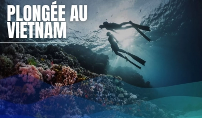 Plongée au Vietnam : top 7 destinations à ne pas manquer