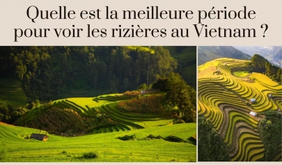 Quelle est la meilleure période pour voir les rizières au Vietnam ?