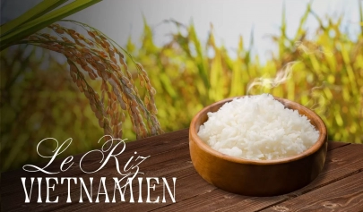 Le Riz Vietnamien, Quintessence De La Cuisine Vietnamienne