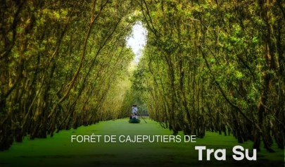 Forêt de cajeputiers de Tra Su: escapade incontournable au Mékong