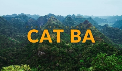 Visiter le parc national de Cat Ba : conseils pratiques