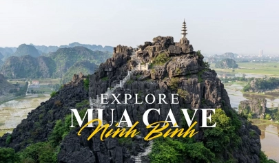 Explore Mua Cave Ninh Binh: Things to do and see