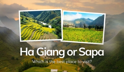 Ha Giang or Sapa: Which is the best place to visit?