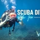 Scuba diving in Koh Tao: Must-do activities for travelers