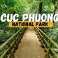 Guide to visiting Cuc Phuong national park