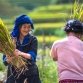 Voyage En Famille Vietnam 2025 : Guide Complet Et Conseils Pratiques