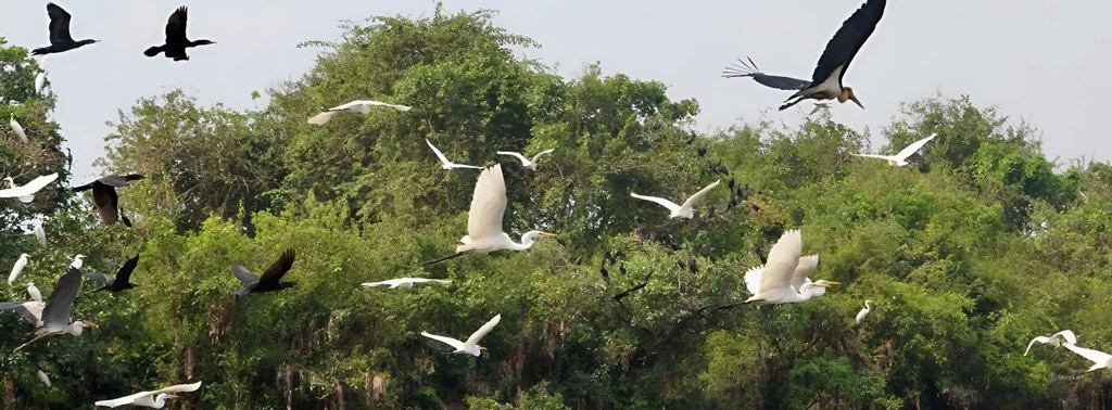 Croisière sur le JAHAN 