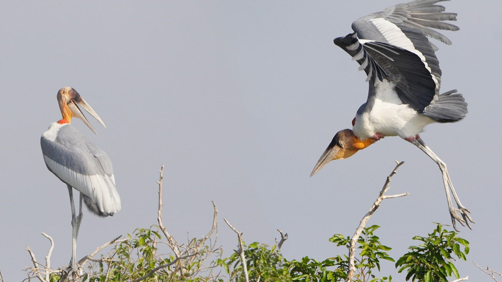 Voyage combiné Laos Cambodge 15 jours