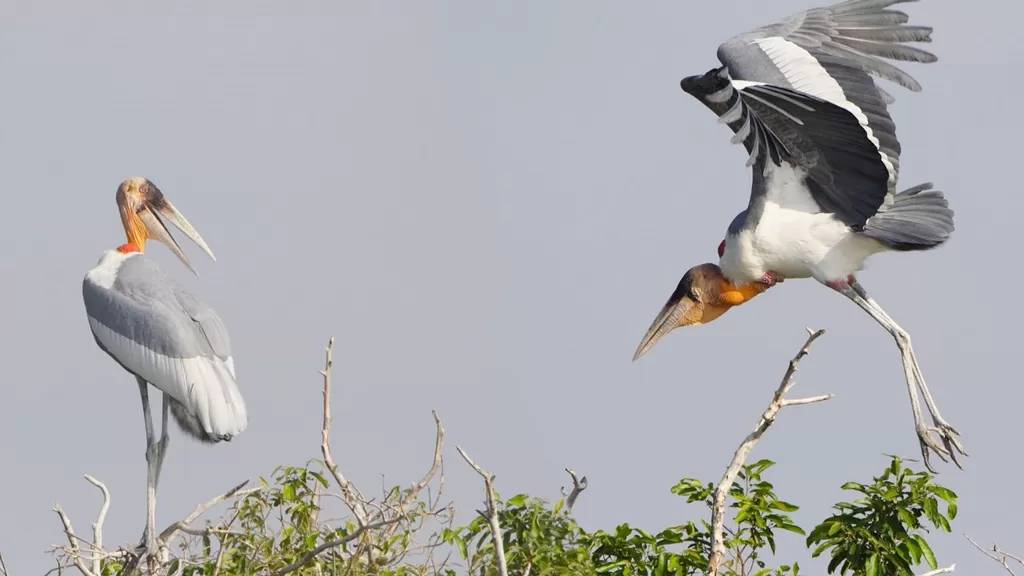 Circuit Vietnam Cambodge 18 jours Tous les sites Unesco