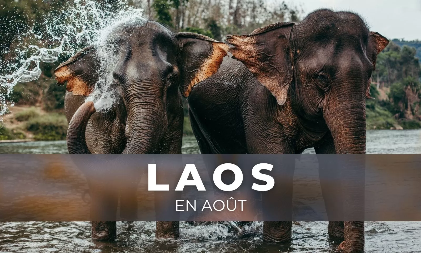 Voyager au Laos en août: météo et activités incontournables