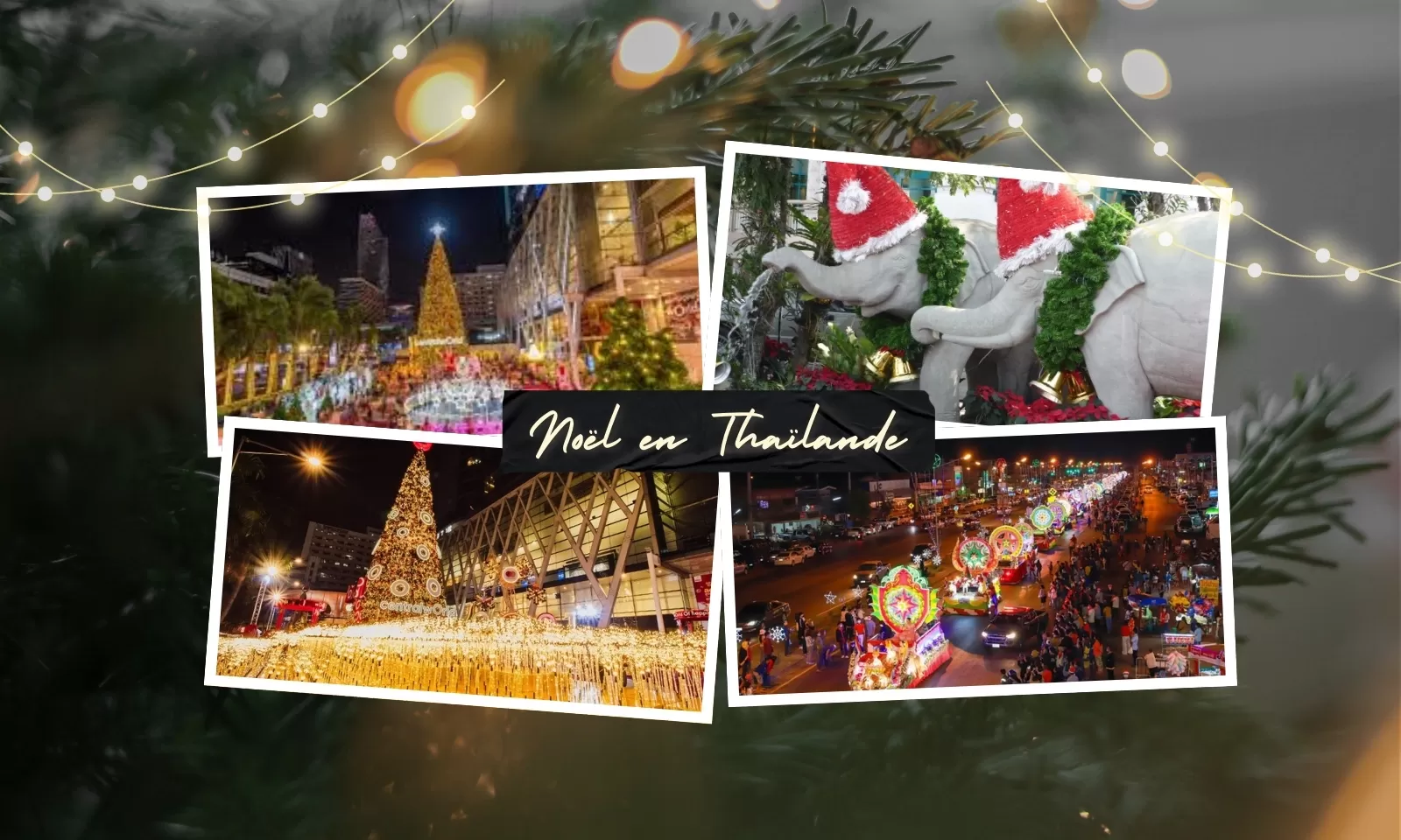 Noël en Thaïlande : 7 expériences magiques à vivre absolument