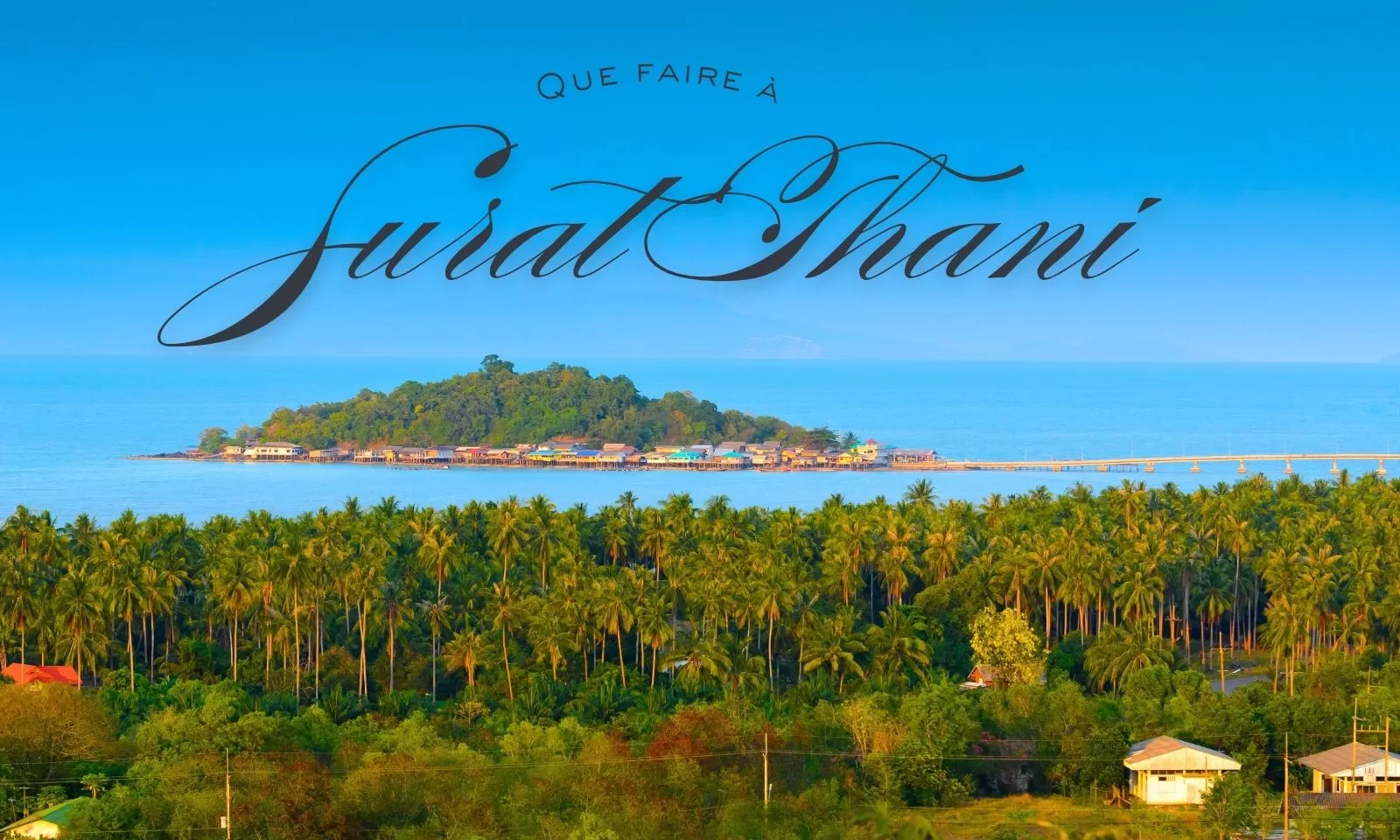 Que faire à Surat Thani ?