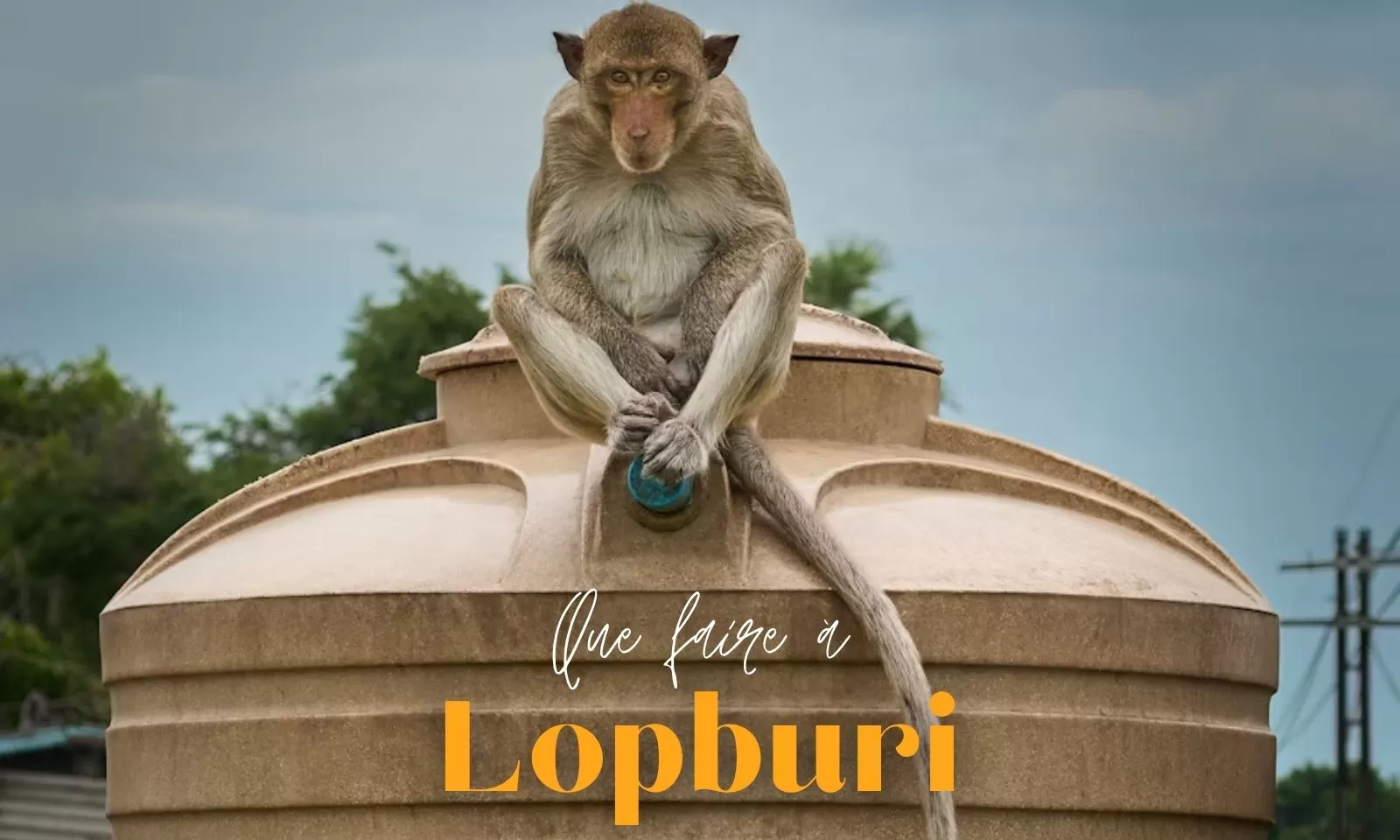 Que voir et faire à Lopburi ?