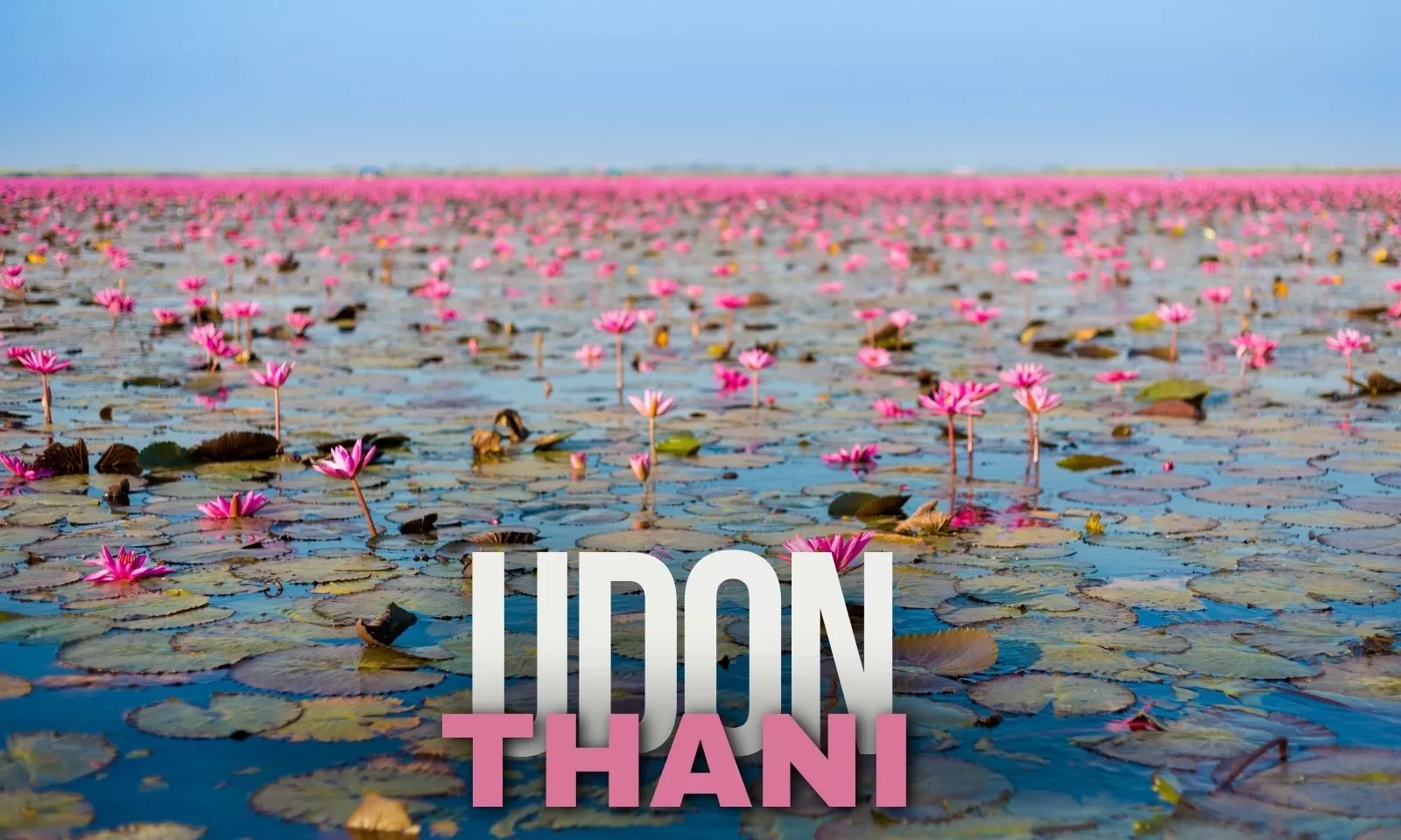 Visit Udon Thani: Top 7 fascinating things to do & see