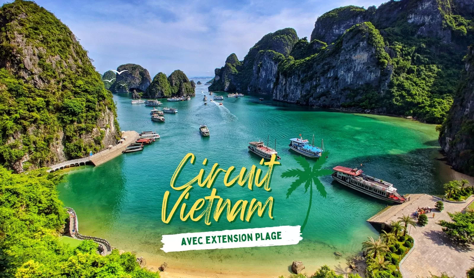 Circuit Vietnam avec extension plage : les idées au top