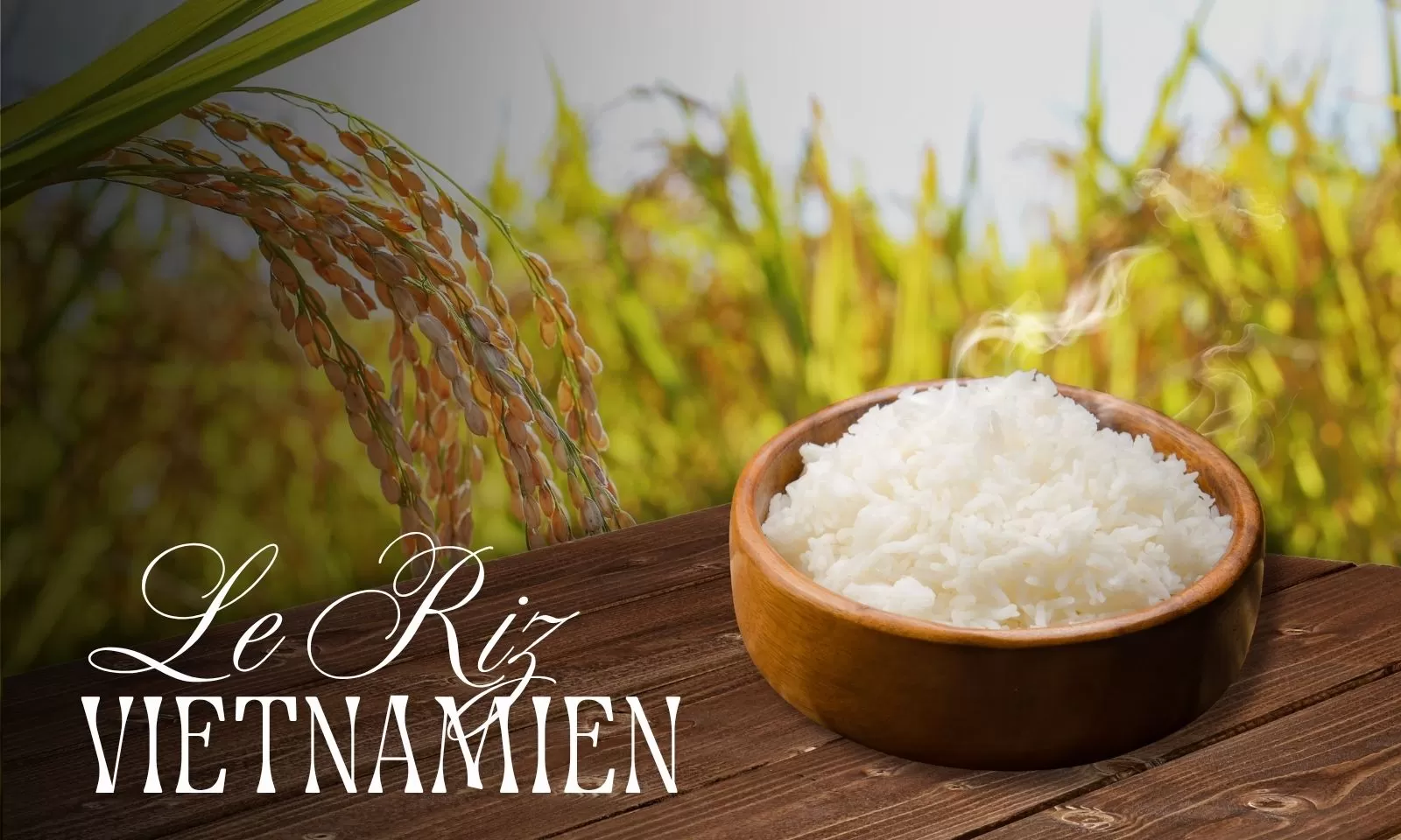 Le Riz Vietnamien, Quintessence De La Cuisine Vietnamienne