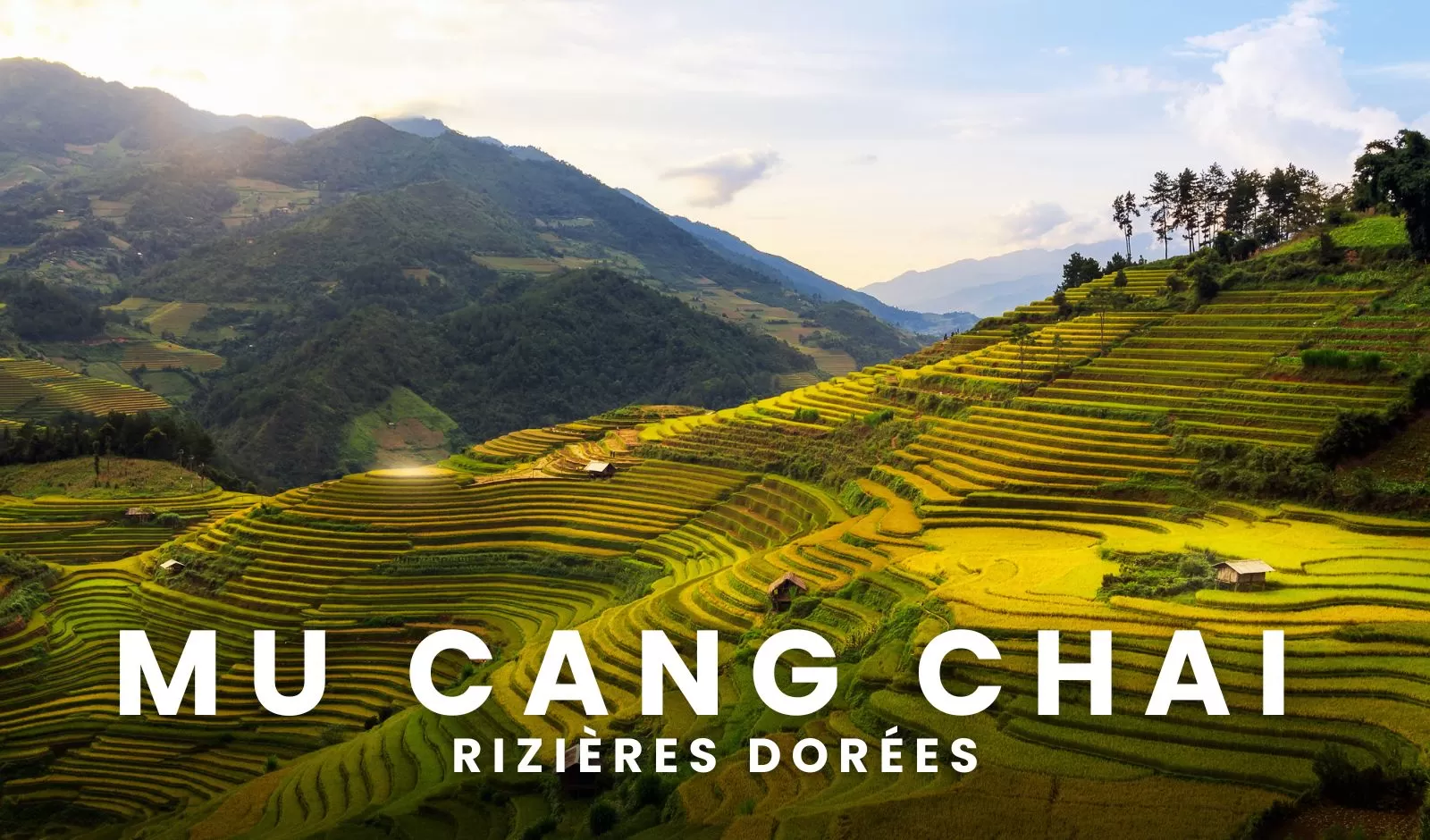  Quand voir les rizières dorées à Mu Cang Chai ? Guide complet