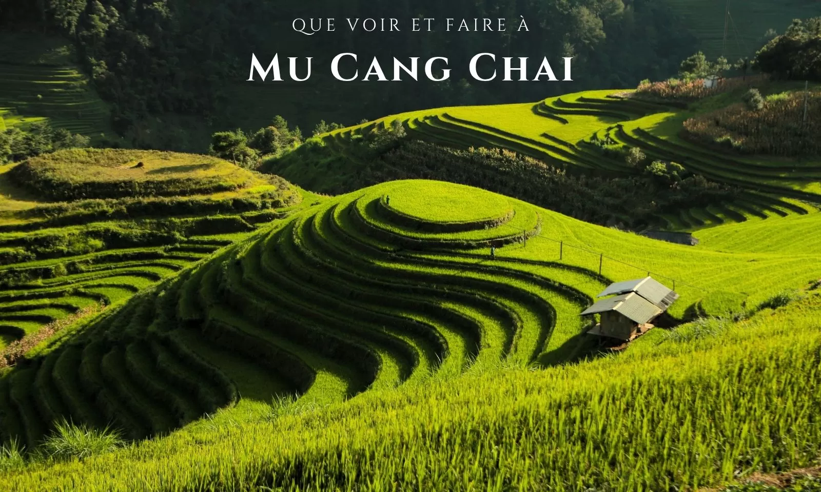 Que Voir Et Faire À Mu Cang Chai 