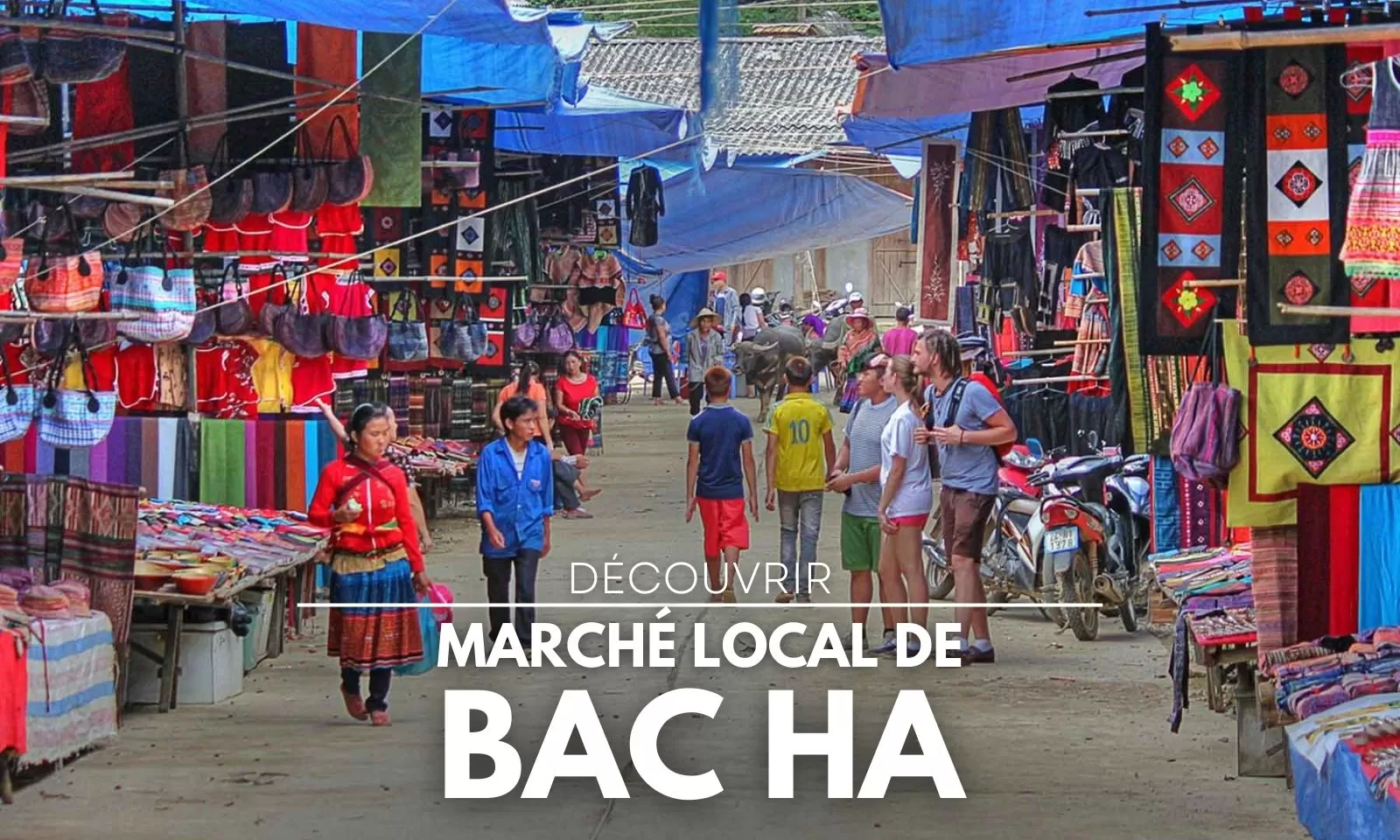 Découvrir le marché local de Bac Ha et son authenticité