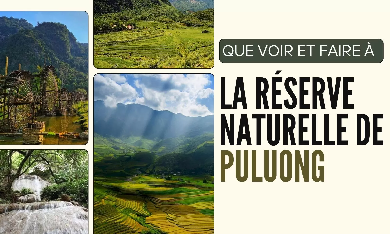 Que Voir Et Faire à La Réserve Naturelle De Puluong