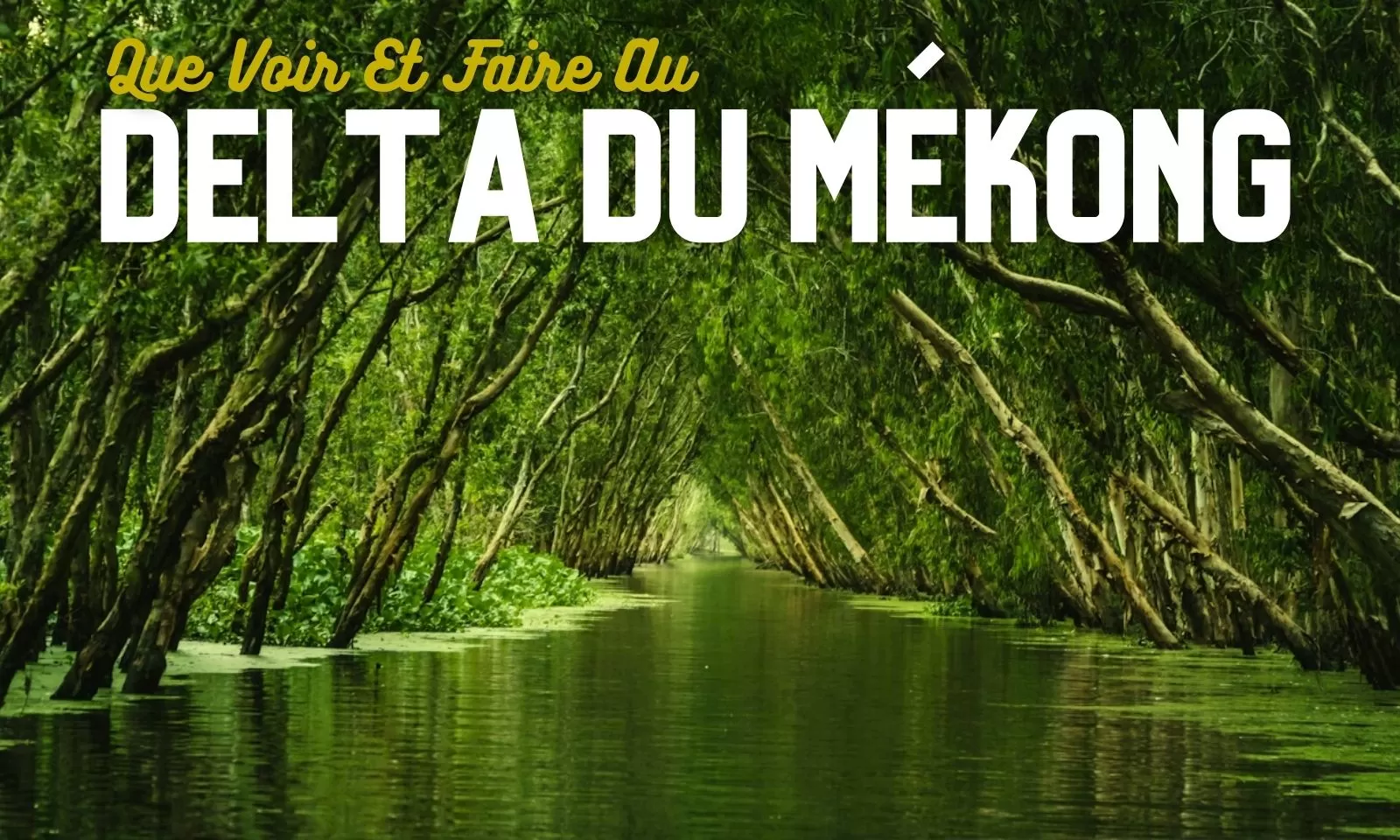 Que Voir Et Faire Au Delta Du Mékong