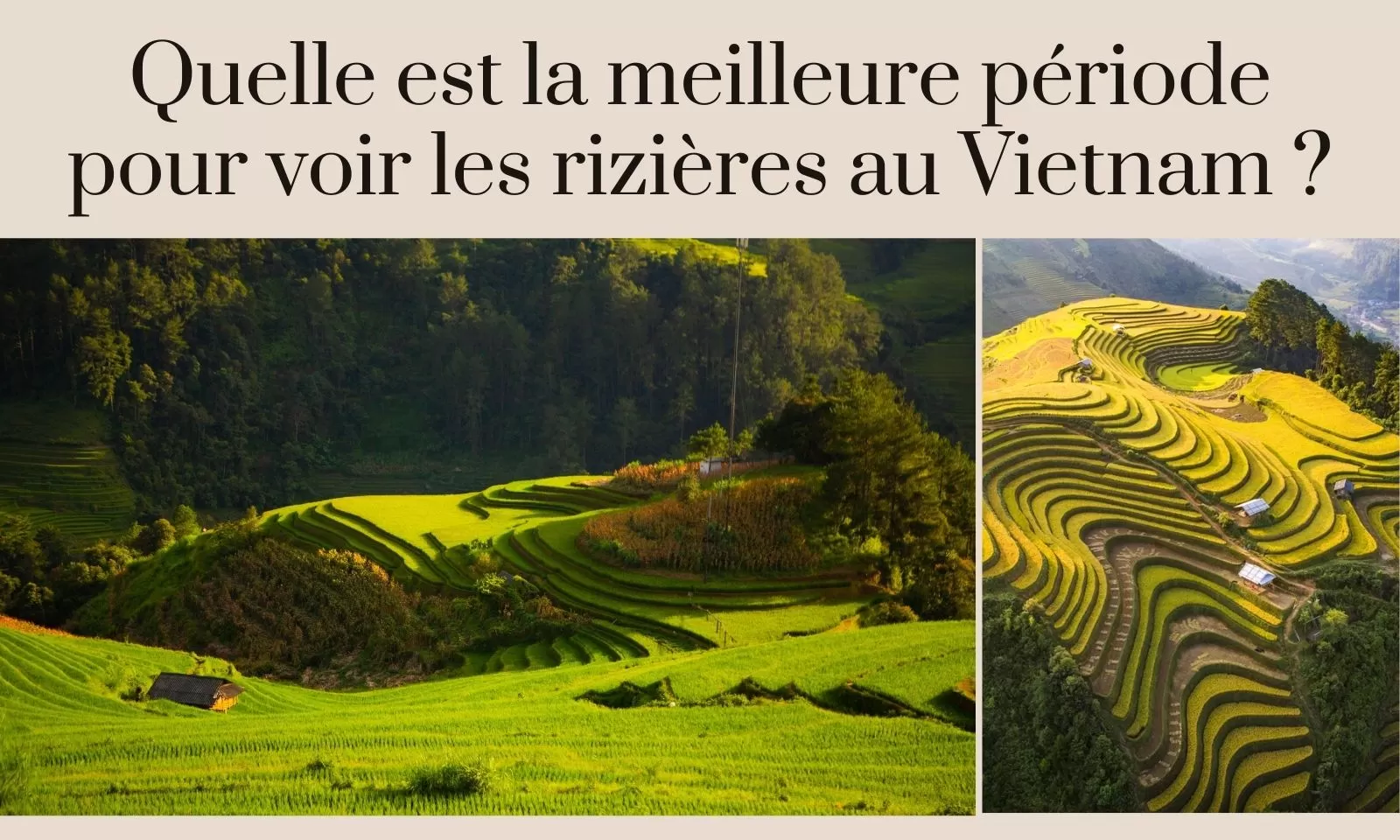 Quelle est la meilleure période pour voir les rizières au Vietnam ?