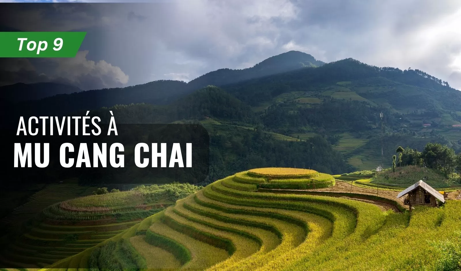 Top 9 activités à Mu Cang Chai à ne pas manquer