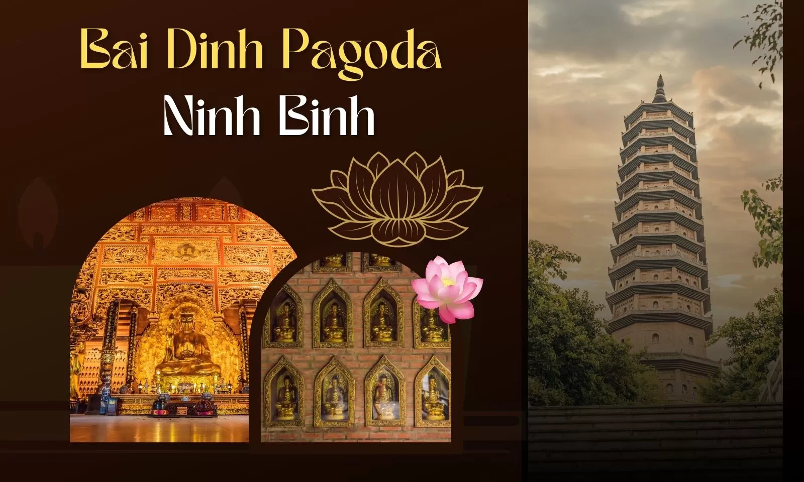Bai Dinh Pagoda Ninh Binh: Complete guide for visitors