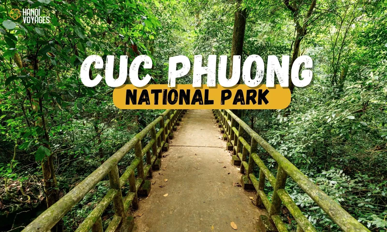 Guide to visiting Cuc Phuong national park