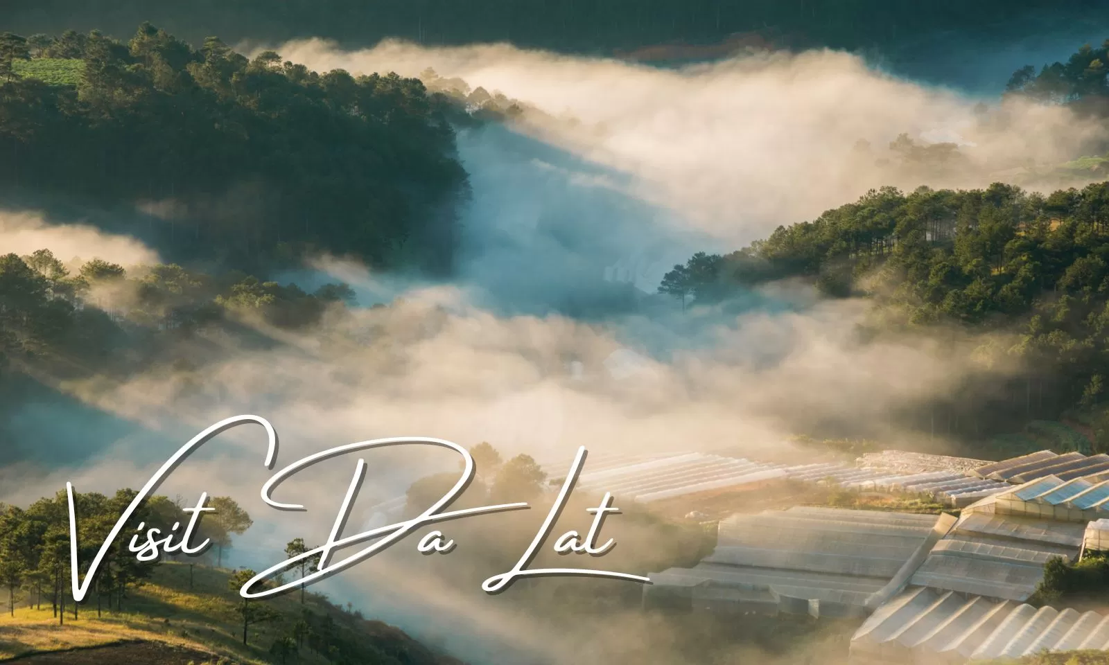 Visit Da Lat: Explore the best of nature and adventure