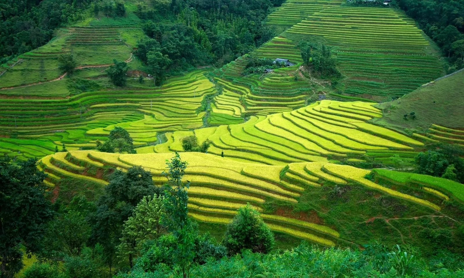 Ha Giang