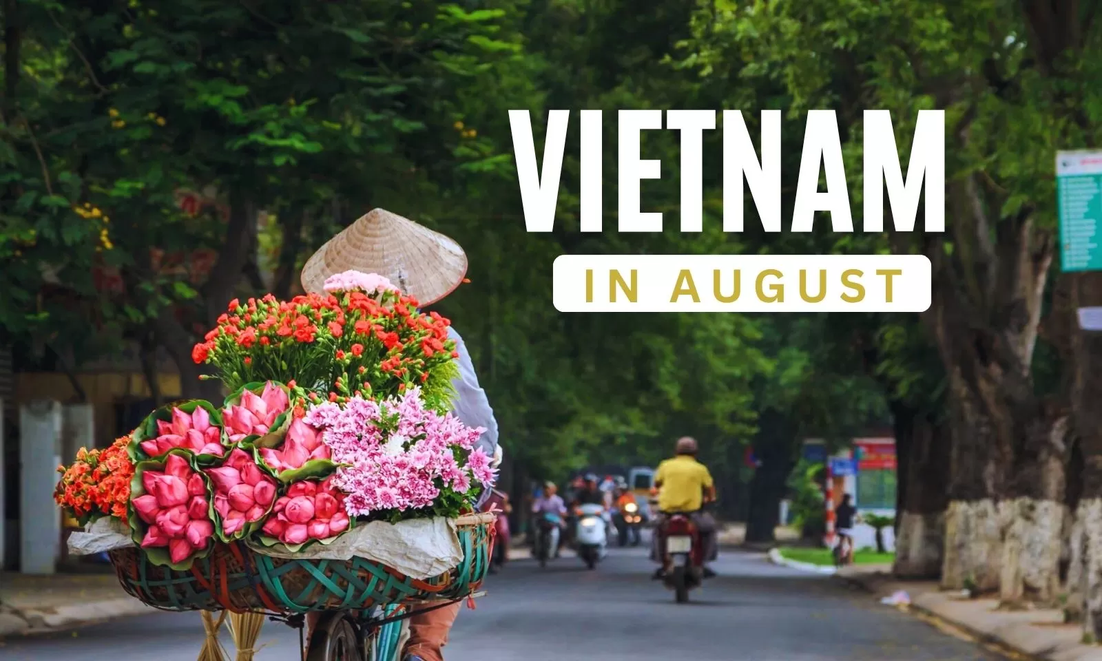 Vietnam in August: Weather and top things to do