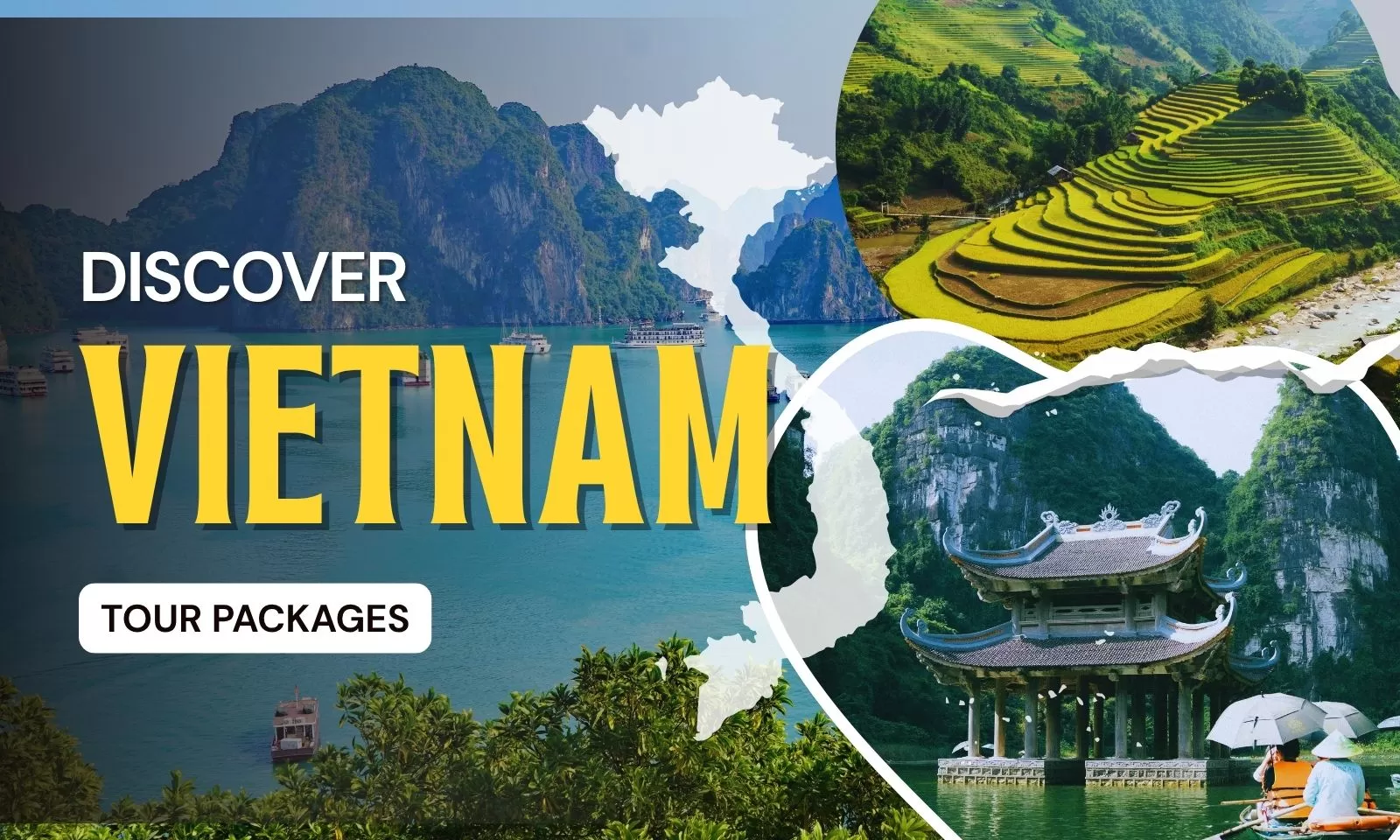 Discover Vietnam tour packages: What to expect