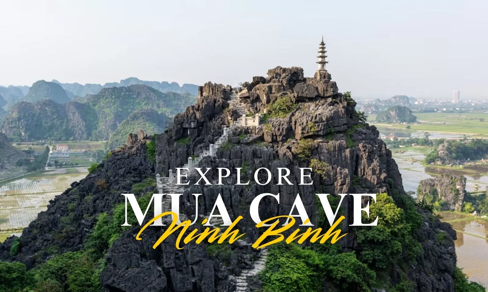 Explore Mua Cave Ninh Binh: Things to do and see