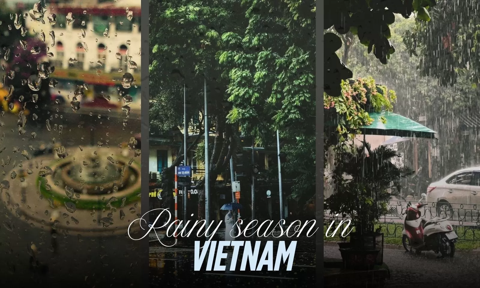 Rainy season in Vietnam: Ultimate travel guide 2025-2026