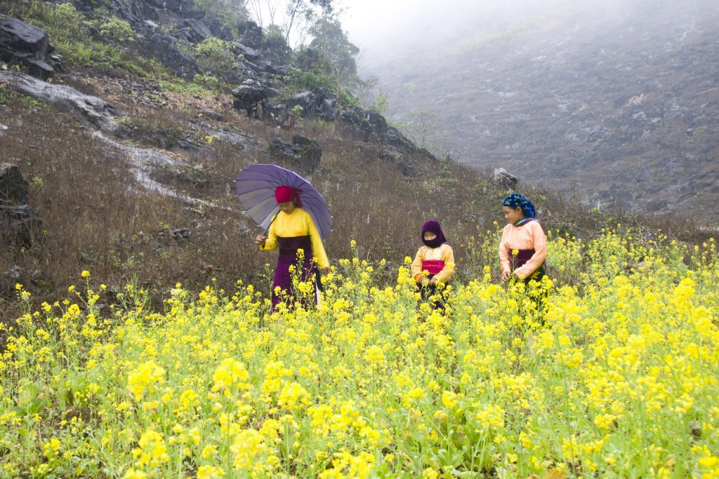 Northern Vietnam Grand Loop 15 days 